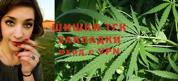 твердый Алексин