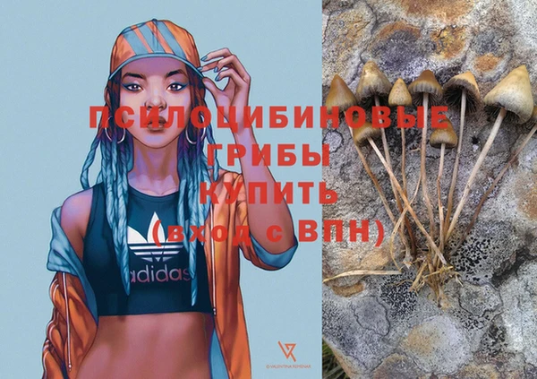 твердый Алексин