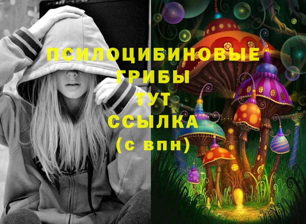 прущая мука Алзамай