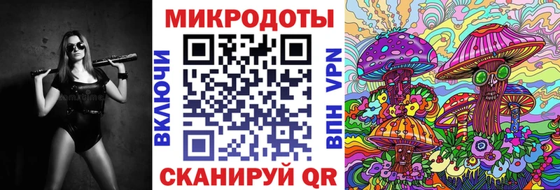 Псилоцибиновые грибы Psilocybine cubensis  Динская 